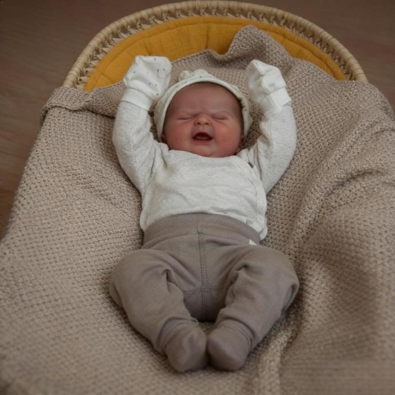 19inch Real Baby Dolls That Cry on Their Own Soft Silicone Head Limbs Cuddly Cotton Body Hand Painted Hair with Veins Acrylic Eyes Lifelike Reborn Stuffed Animal for Kids 3+ Water Resistant