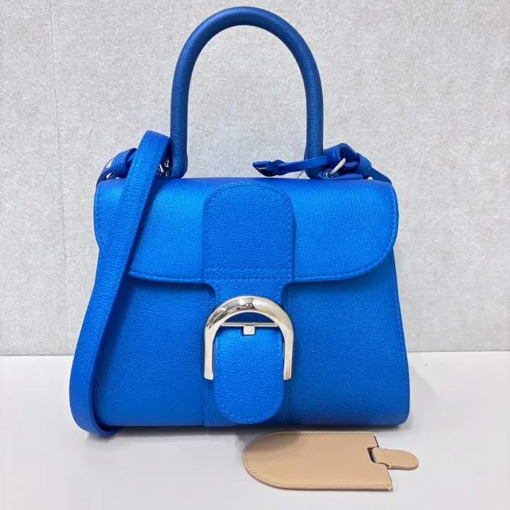 Pre-owned delvaux LEATHER Shoulder Bags Brillant Mini Top Handle Bag 22476781