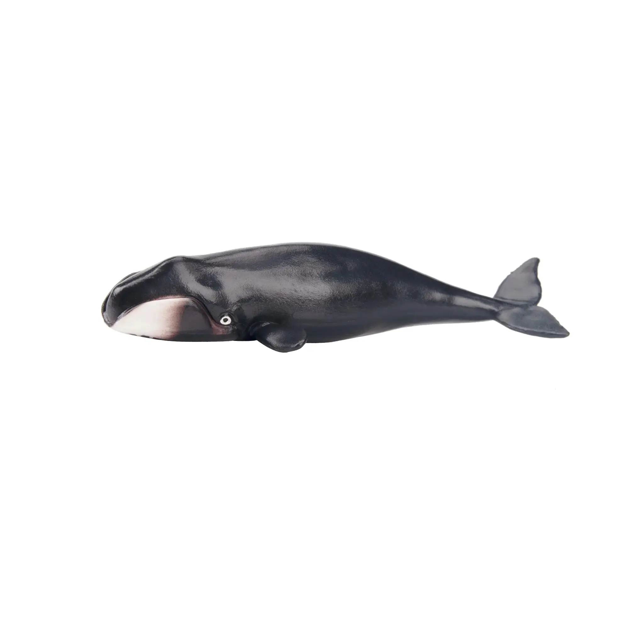 Toymany Hand-Painted Mini Bowhead Whale Figurine – Realistic Aquatic Animal Model, Perfect for Early Education, Montessori Sensory Play, Cake & Party Decorations, Desk & Home Décor, Thoughtful Gifts, and Collectible Figurine