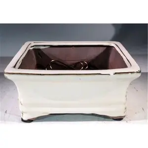 212 MAIN Bonsai Boy Beige Rectangular Ceramic Bonsai Pot - Pre-Wired, with Drainage