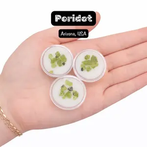 GEM JAR Natural Peridot from Arizona - 3-6pcs - Rough Peridot Crystals