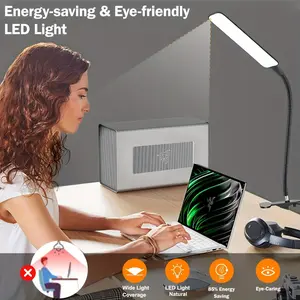 LED Desk Lamp with Flexible Gooseneck Arm, USB Powered Adjustable Light, Eye-Care Glare-Free Lighting, Home Office Study Room, Indoor Decorative Light