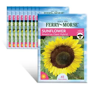 Ferry-Morse Online Edition Sunflower American Giant Hybrid Seed Multipack - 10 Pack