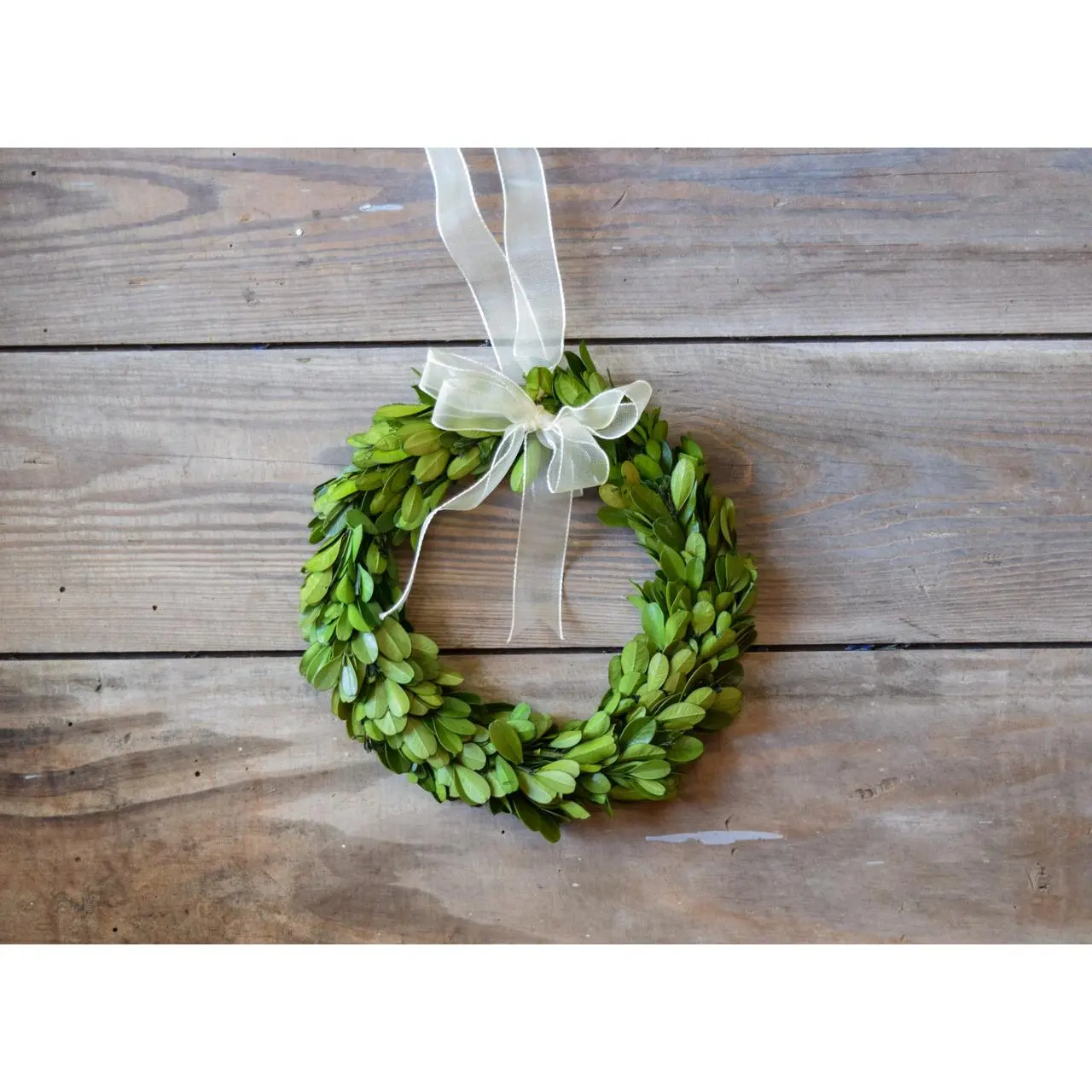 Preserved Boxwood Round Wreath - 8 Inch