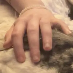 review image 8