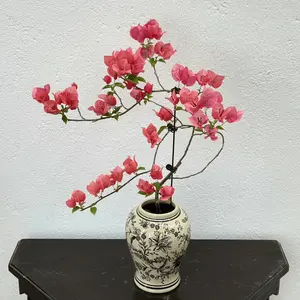 A triangle plum seedling, easy to cultivate and flourishing