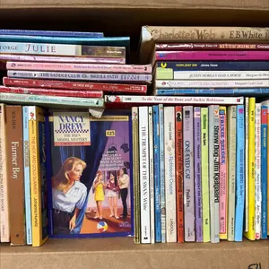 Vintage Chapter Books Bundle Rare, 54 books