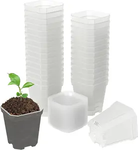 3" Clear Nursery Pots, 30 Pcs Thick Plastic Plant Pot, Square Flower Planting Pot, Seedling Planter Seed Starter Pots with Saucers