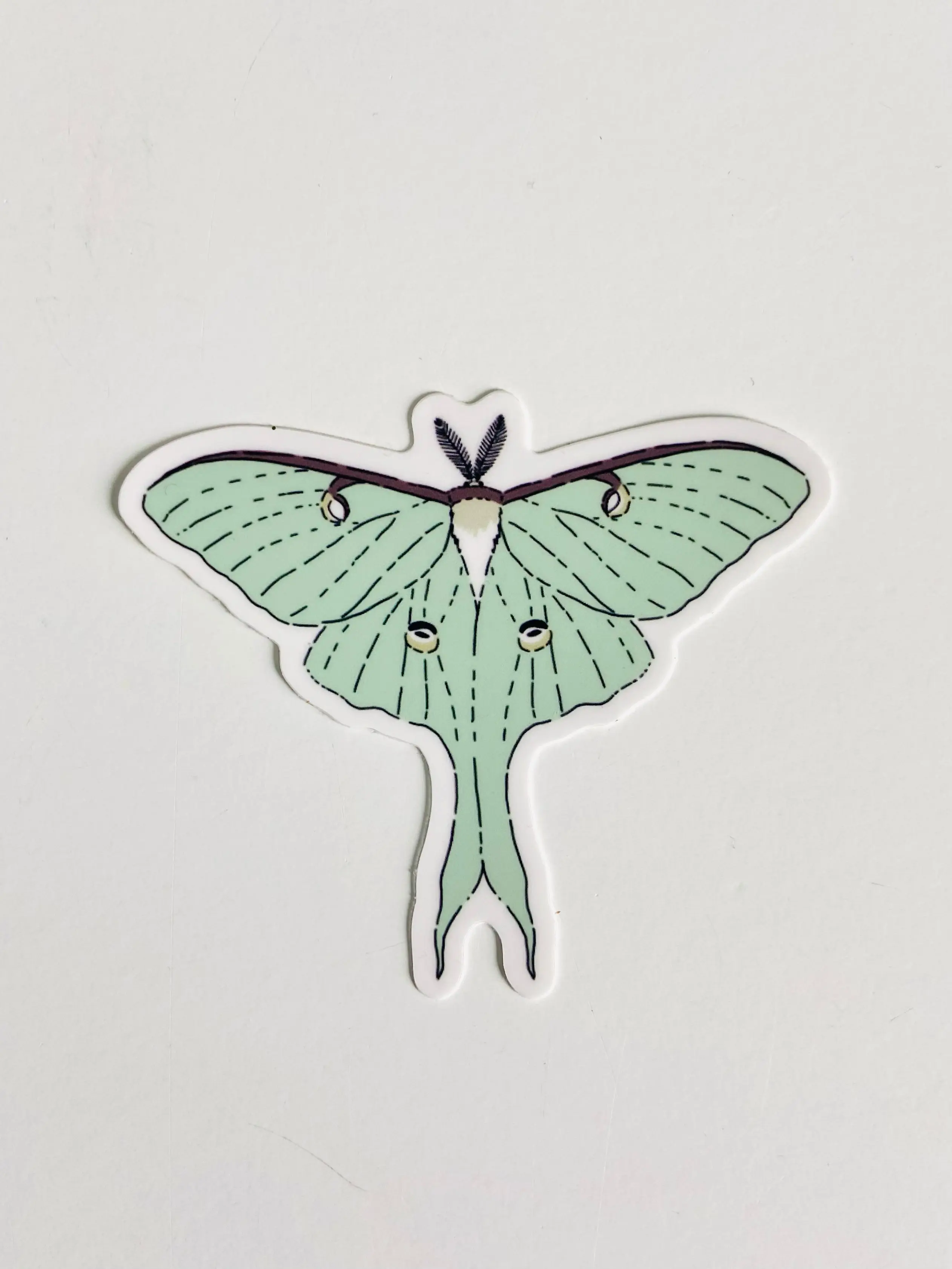Field & Forest Moth Sticker