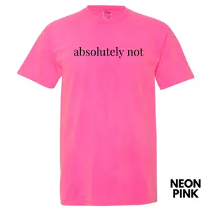 Absolutely NOT Comfort Colors T-Shirt 'NLB'