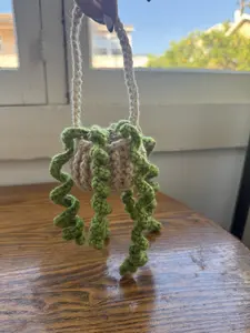 Hanging Curly Plant - Handmade Crochet Decorative Planter