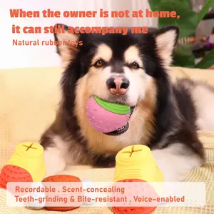 Pet Balloon Loaf Bone Interactive Voice & Dog Toy - Shake-to-Play Rubber Toy for Puppies and Dogs in Orange Blue Green Yellow Colors