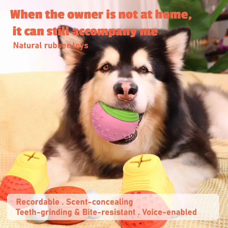 Voice-Enabled Rubber Chew Toy - Interactive Shake-to-Play Pet Balloon Loaf, Puppy-Safe Size, Universal Fit, Blue Bone Toy for Puppies & Dogs (Orange, Blue, Green, Yellow Colors)