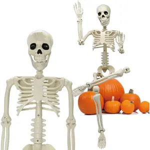 36" Halloween Skeleton Decorations, 3FT Posable Plastic Skeleton with Realistic Bones, Movable Joints for Halloween Party, Indoor Outdoor Prop