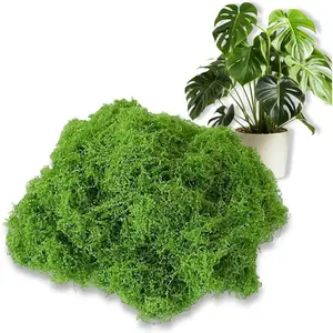 Fake Moss Moss for Crafts 1.76oz Artificial Moss for Crafts, Faux Moss for Fairy Garden, DIY Decorative, Model Making, Walls, Glass Containers, Home
