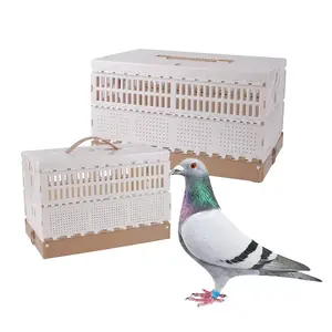 Plastic Folding Pigeon Training Release Cage Impact Resistance Easy To Clean New