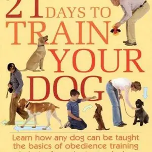 USED-21 Days to Train Your Dog: Learn how any dog can be taught the basics of obedience training in just a few minutes each day by Colin Tennant (Hardcover)