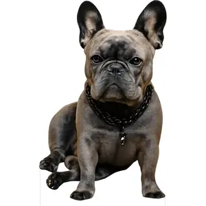 French Bulldog 1FT Life Size Cardboard Cutout, Safari Theme Decoration, Animals Standup for Events, Party, Photography Props, 1 PC