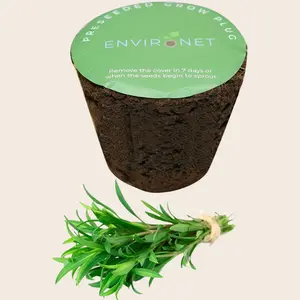 3" Preseeded Herb Seeds Starter Plug - Tarragon