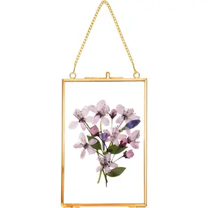 Hanging Pressed Flower Frames Double Glass Floating Picture Frame Handmade Glass Frame for Pressed Flowers Vintage Brass Picture Frame for Artwork Wall Display Mount Gold 4x6 Inches