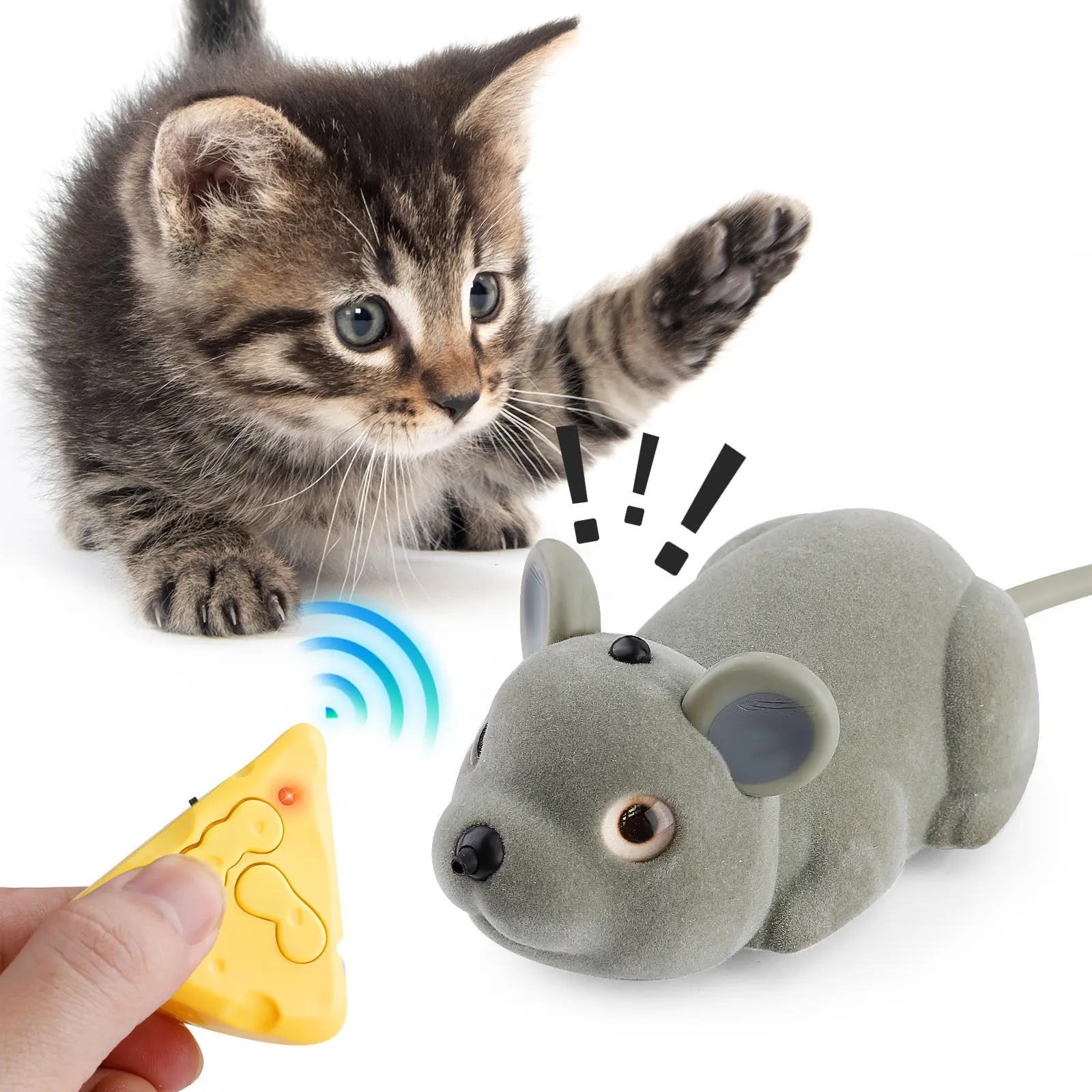 RC Mouse Toy for Cats  Remote-Controlled Mouse for Fun Chase, Training &  Exercise - TikTok Shop
