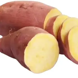 Yams Slips for Planting - Yellow Murasaki Sweet Potato Slips 3 Slips for Gardening and Cultivation