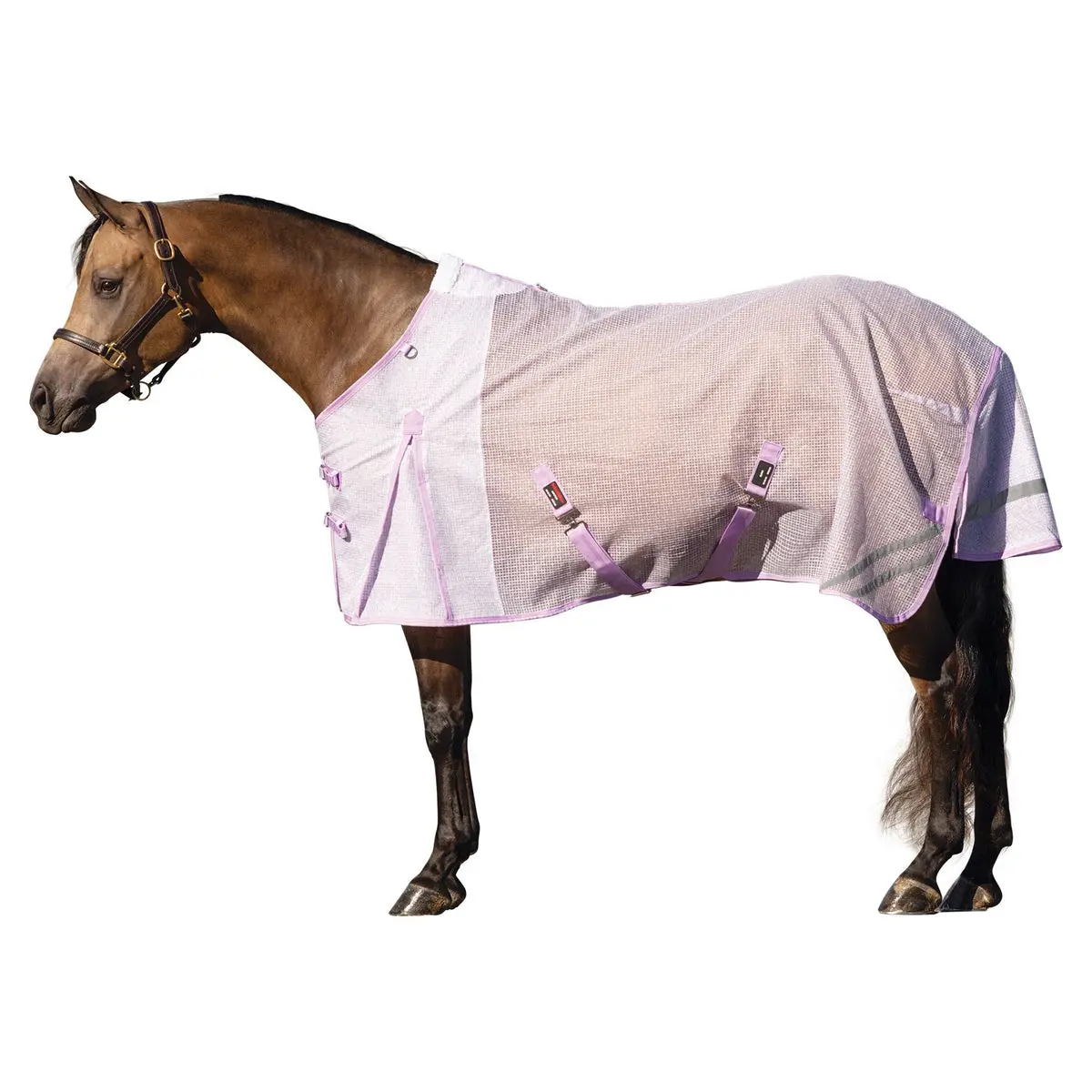 Schneiders Ripstop Nylon Mesh II Horse Fly Sheet, Equestrian Supplies with Airflow, UV Protection, Attached Neck Euro Fit Surcingle, Horse Fly Sheets