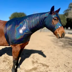 Black Shimmer Sleazy Hood