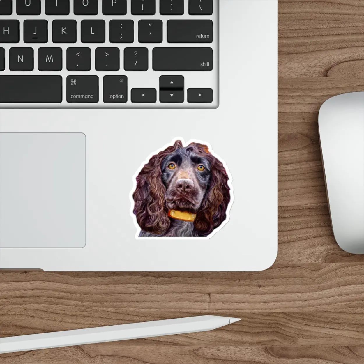 Boykin Spaniel dog breed Sticker, Watercolor animal stickers, fine art Stationery, Dog Lover Gift Cute Gifts for Dog Lovers