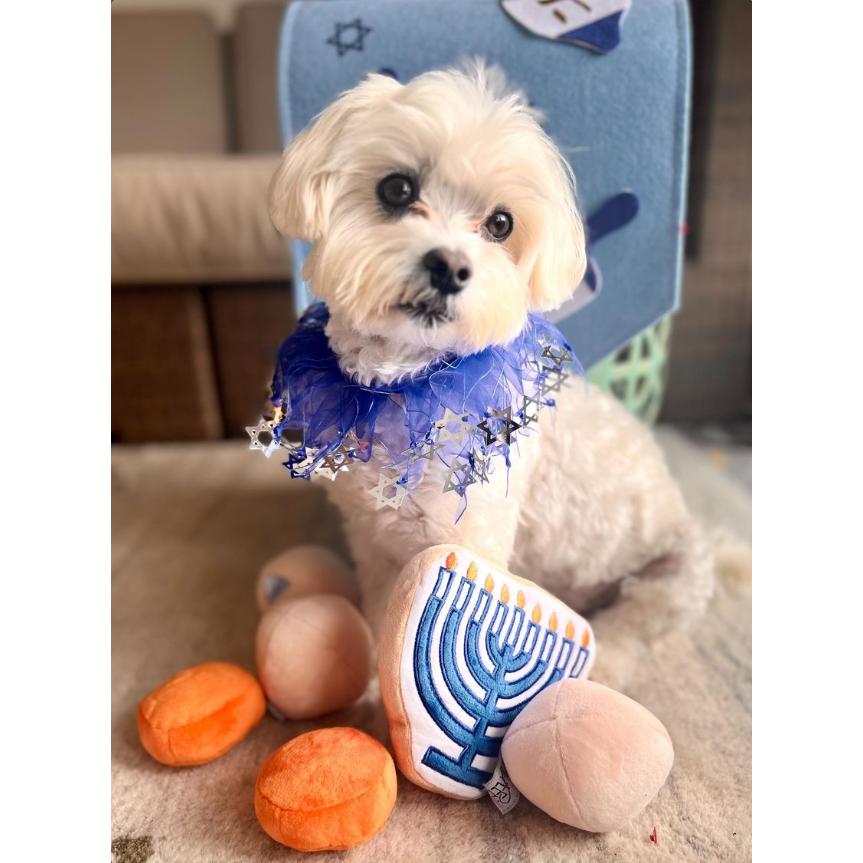 Matzo Ball Soup Plush Dog Toy Set – 5-Piece Squeaky Interactive Pet Toys with Soft Plush Material for Fetch and Playtime Fun