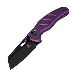 Kizer C01C Black 154CM Purple Aluminium Handle V4488AC1