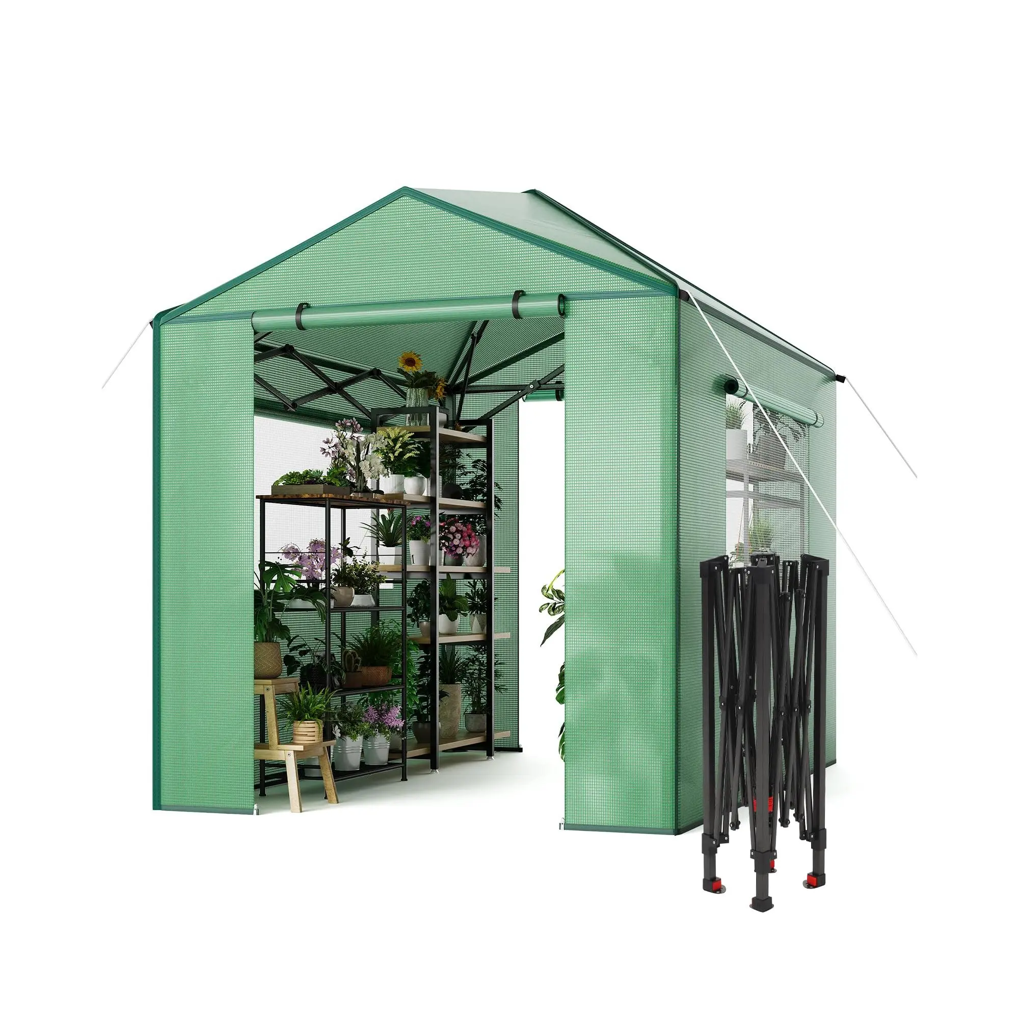 8x6 FT Foldable Pop Up Greenhouse, Collapsible Walk-in Outdoor Greenhouse with Zippered Doors & Windows, PE Cover for Garden Patio Backyard, 96x72 Inch