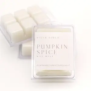 Pumpkin Spice Wax Melt - Individual