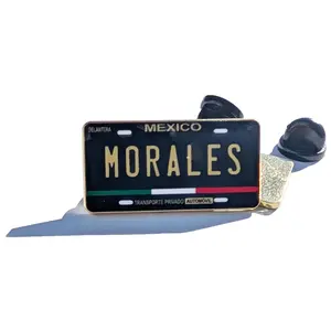 Morales Pin For Caps And Clothing Enamel Badge Pin Mexican Pin Mexican Flag Pin Morales Mexico Pin Hispanic Pin