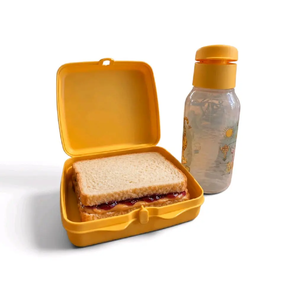 Tupperware Sandwich and bottle set