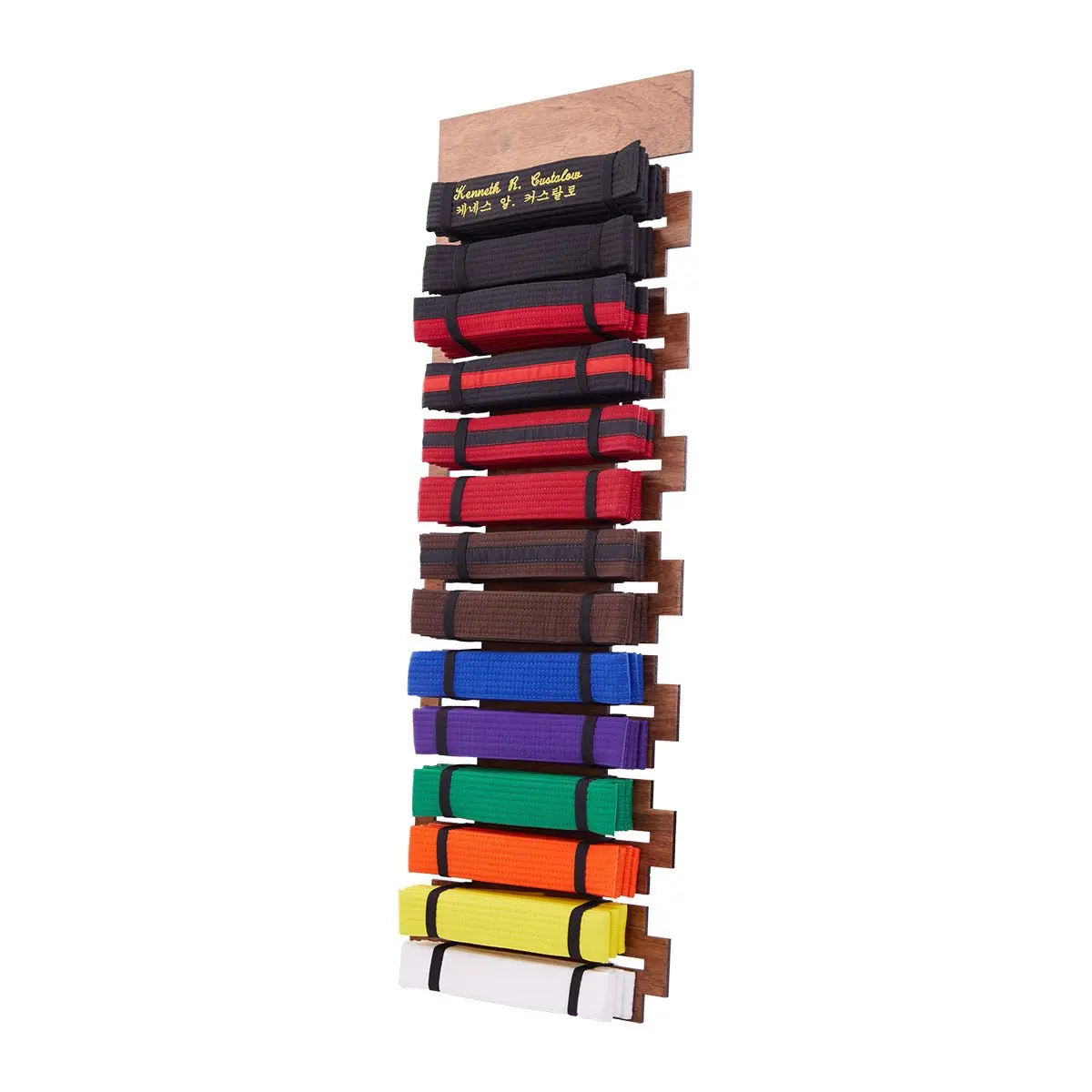 14 Level Belt Display