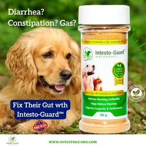 Intesto-Guard Probiotic Supplement Powder for Dogs & Cats - Natural Daily Gut Balance & Digestive Support - 90g