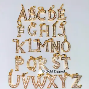 Add on an Icy Initial Charm- No Chain
