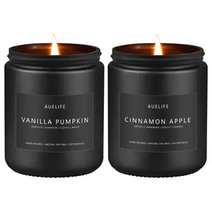 2 Pack Fall Candles | Vanilla Pumpkin Candle + Cinnamon Apple Candle - Scented Candles for Fall, Fall Soy Candles - Autumn Candles for Home, Fall Gifts - 7oz Black Jar Candles