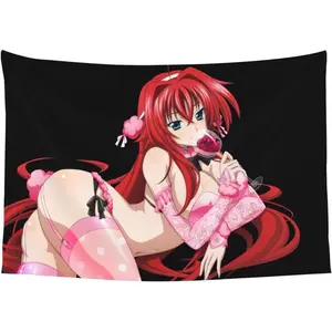High School D-xD Tapestry Poster - Anime Decor for Bedroom, Living Room, Dorm - Wall Hanging Decoration 60-40 Inches valentine's gift for bf