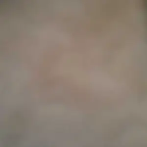 review image 8