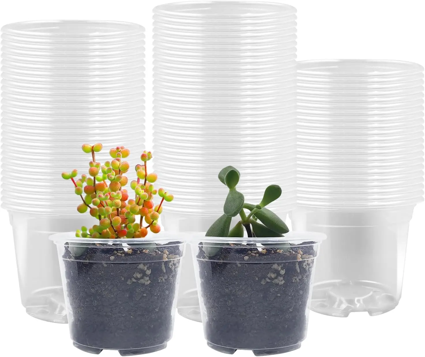 100 Pack 2.8 Inches Clear  Pots with Drainage Holes, Transparent Seeding Nursey pots, Round Plastic pots for Seeds Starter, Seeds Germination