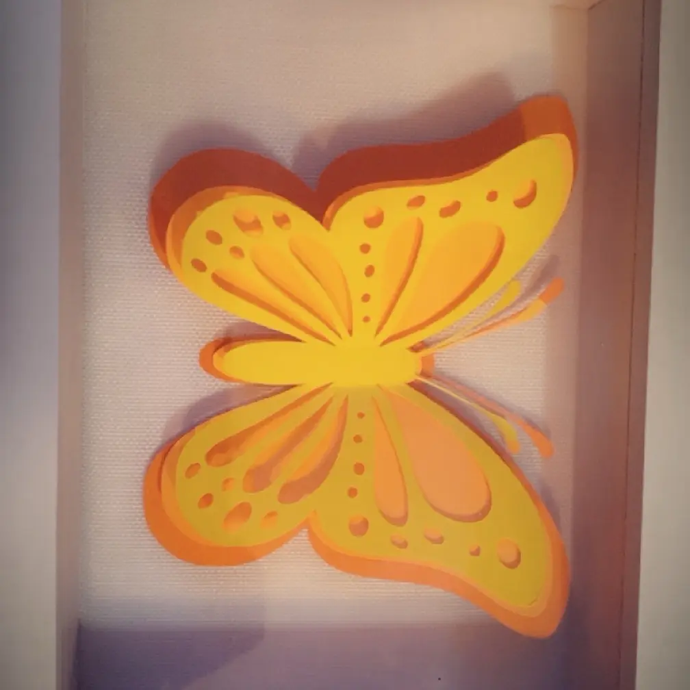 Butterfly shadow box Butterfly shadow box