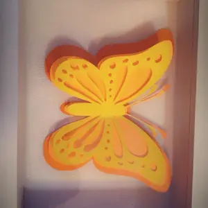 Butterfly shadow box