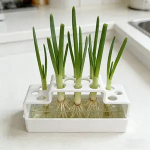 Reusable Plastic Plant Growing Kit with Water-Retaining Tray, Ideal for Scallions, Herbs, Sprouts, Compact Windowsill Planter
