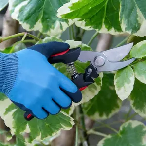 Gardening Glove and Pruning Shears Set, Waterproof Durable Gloves for Comfort, Sharp Easy-To-Use Pruners for Essential Garden Tasks, Tool Kit