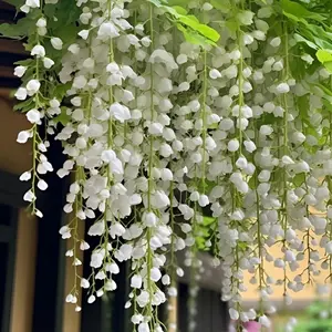 Jasmine Vine Flower Seeds (100 Seeds) – Climbing & Trailing Jasmine for Hanging Baskets, Pergolas & Garden Spaces