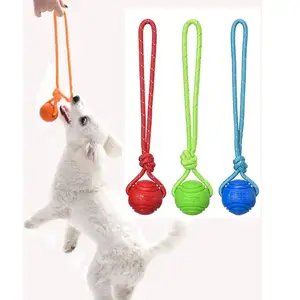 Dog Training Ball on Rope
