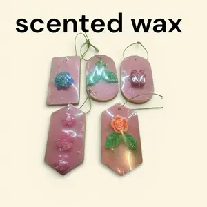 Scented Wax Sachets with Tropical Fruits Essence for Aromatic Home Fragrance