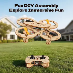 Beginner Stunt Remote Control Model Wooden DIY Assembly Kit with Blocks & Batteries, STEM Educational Handcraft Toy, Decorative Desk Ornament, Stress Relief Creative Gift for Kids, Teens & Adults